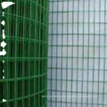 PVC coated welded wire mesh 3/8 5/8